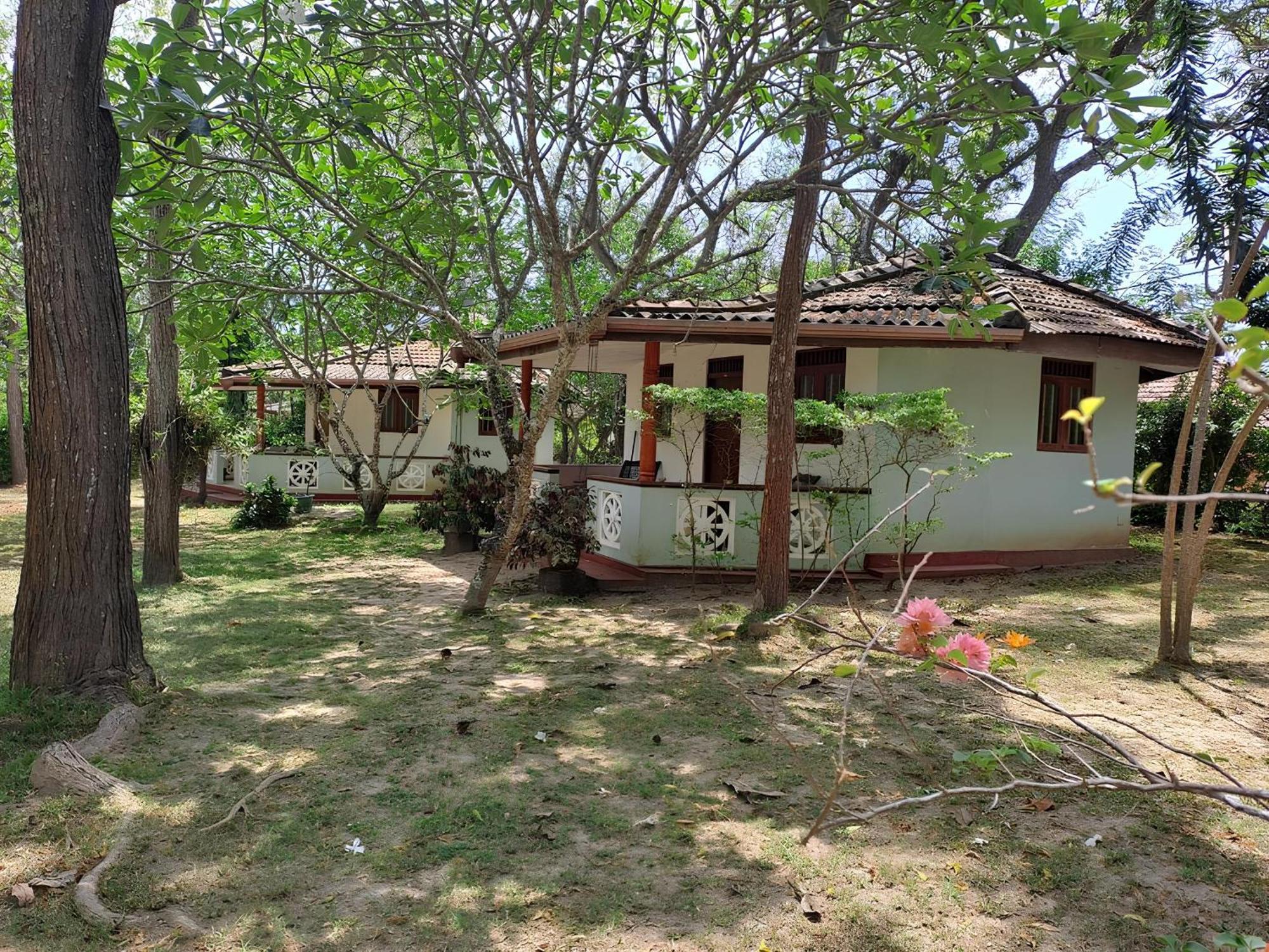 Calm Garden Cabanas Tangalle Eksteriør billede