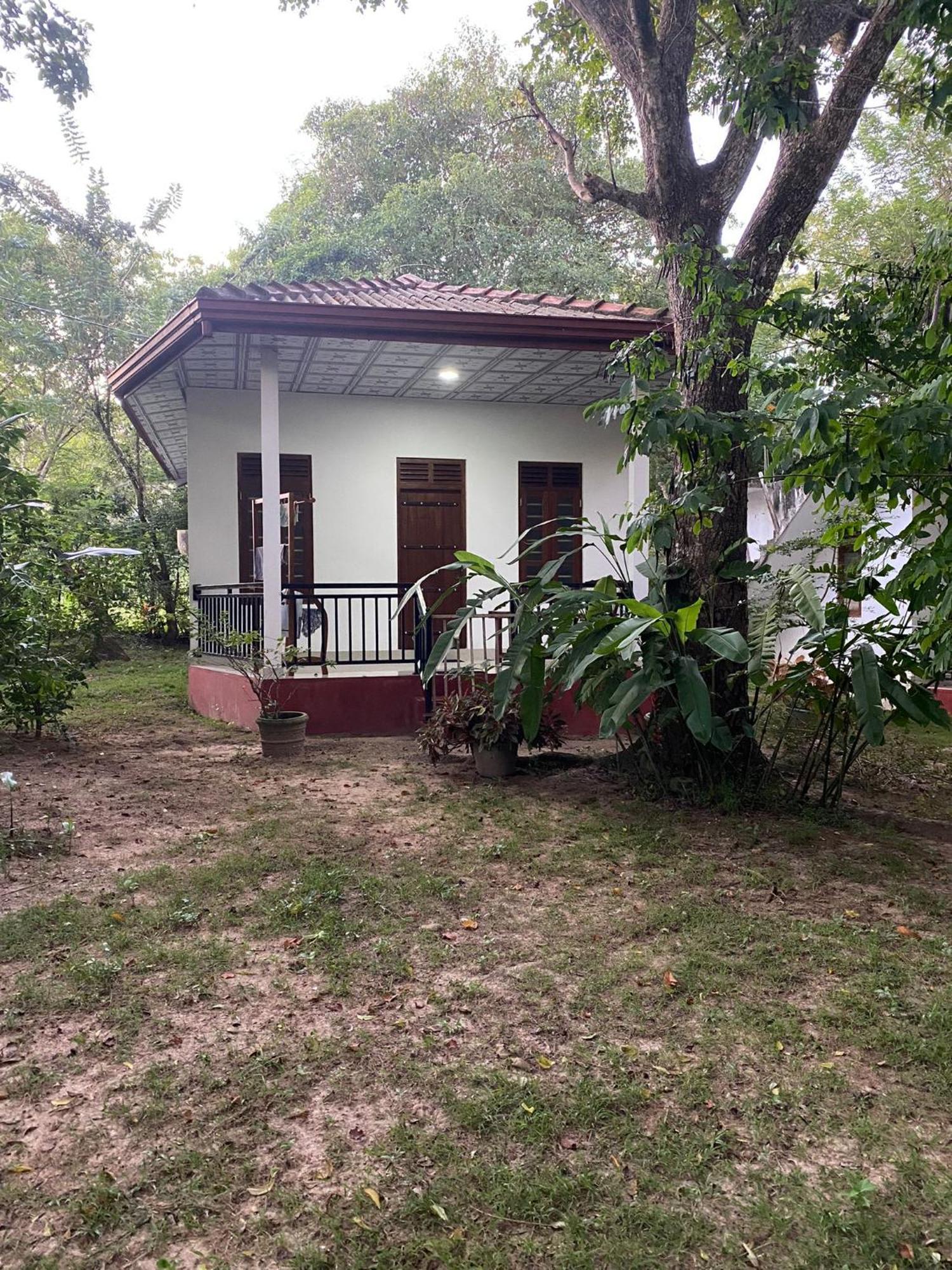 Calm Garden Cabanas Tangalle Eksteriør billede